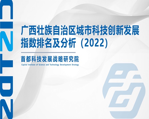 鸡巴操骚逼精品【成果发布】广西壮族自治区城市科技创新发展指数排名及分析（2022）